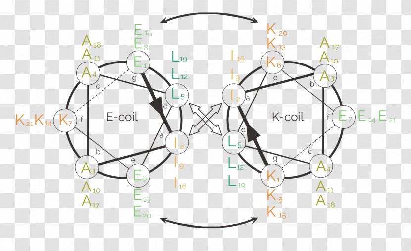 Line Body Jewellery Angle - Diagram Transparent PNG