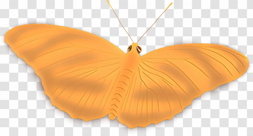 Orange Transparent PNG