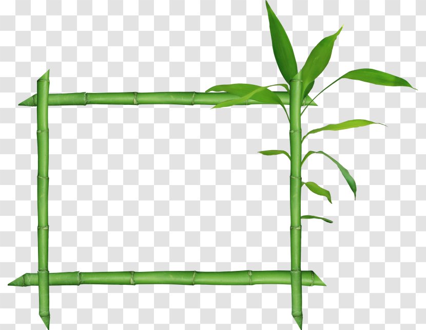 Bamboo Raster Graphics Clip Art - Plant - Frame Transparent PNG