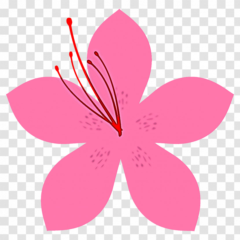 Petal Pink Flower Plant Hibiscus Transparent PNG