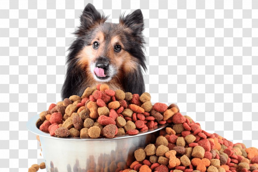 Dog Cat Nutrient Pet Food Shop Transparent PNG