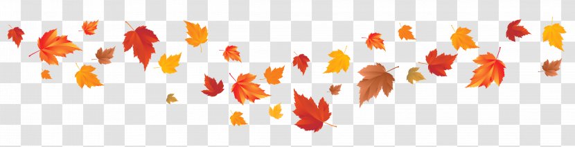 Autumn Leaf Color Red Maple - Orange - Fall Leaves Image Transparent PNG