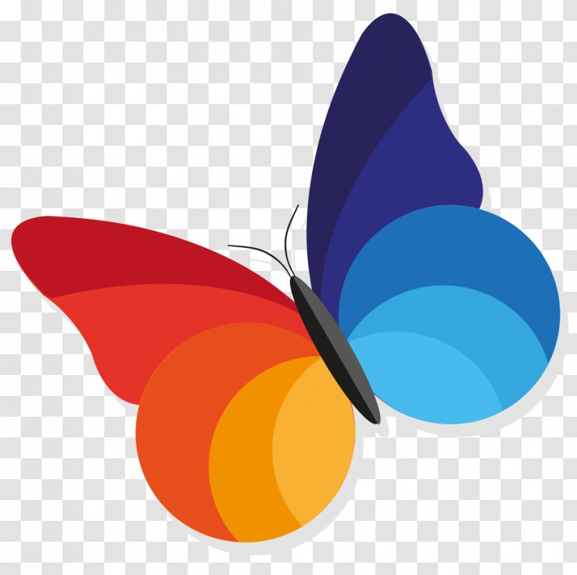Papillon Web Internet Design - Wing - Webito Graphic Logo Transparent PNG
