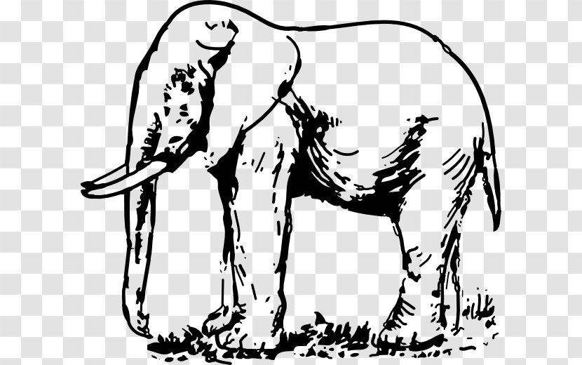 Indian Elephant Clip Art - White Clipart Transparent PNG