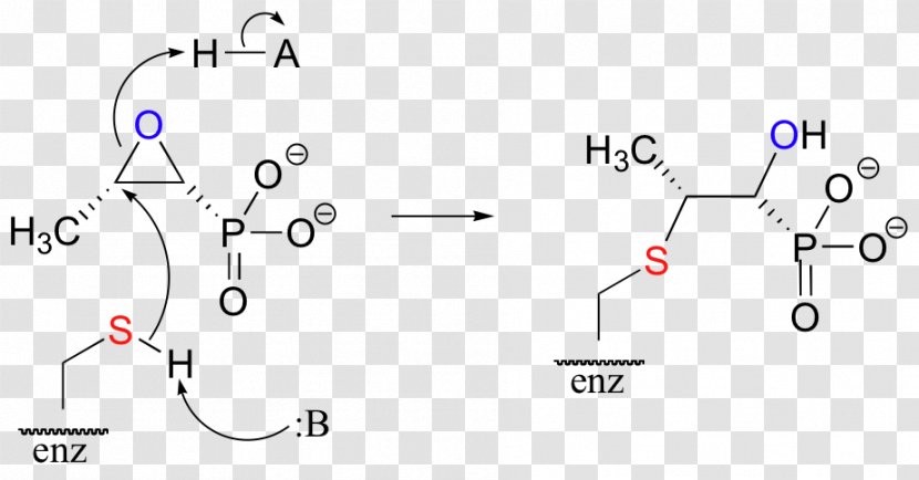 Fosfomycin Chemical Reaction Electrophile Epoxide Cysteine - Diagram - Mechanism Transparent PNG