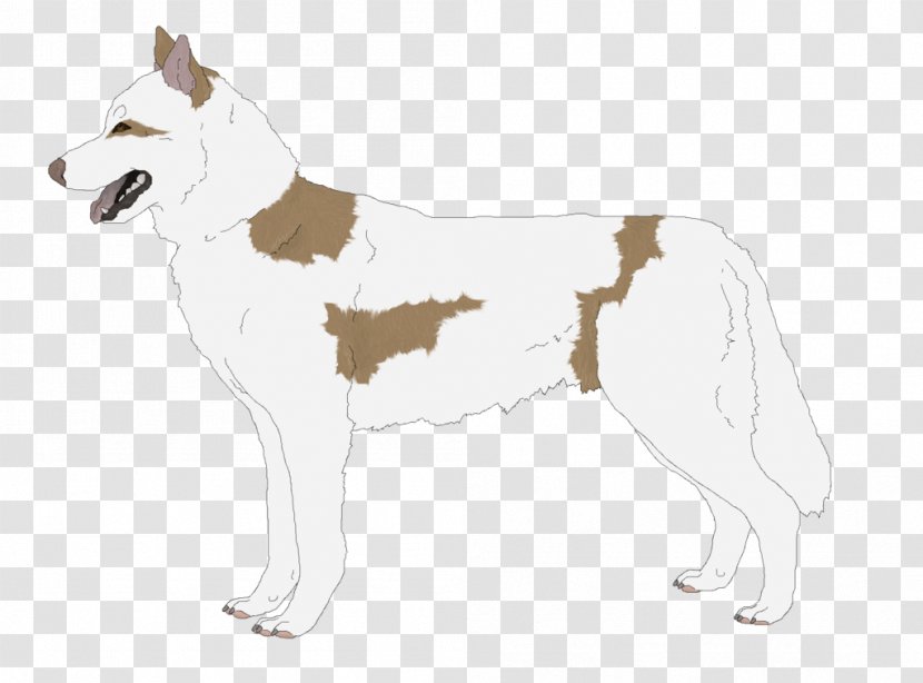 Siberian Husky Saarloos Wolfdog Czechoslovakian Canaan Dog East Laika - Carnivoran - Paw Transparent PNG