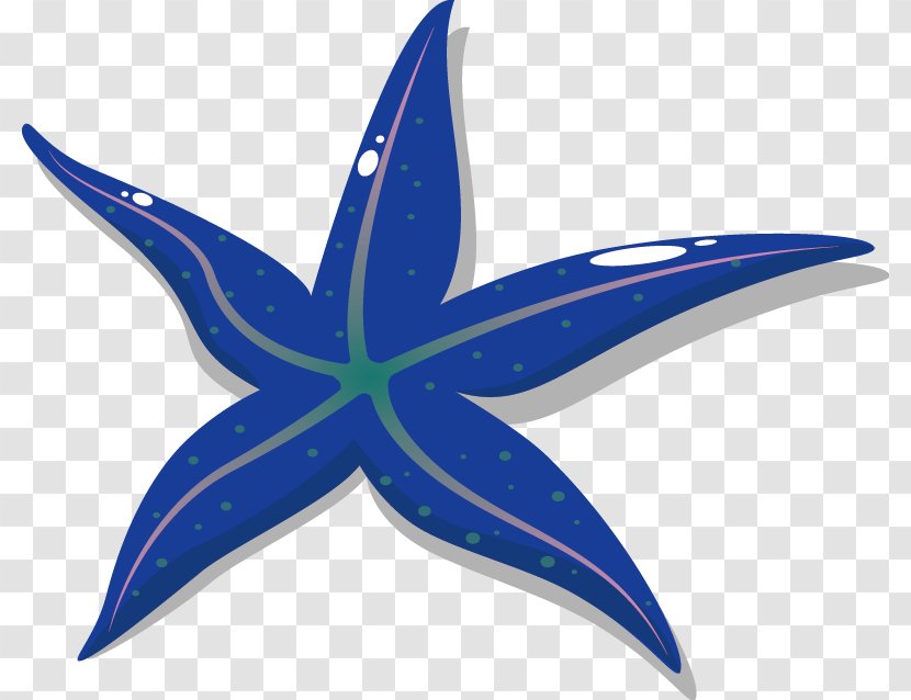 Starfish Drawing - Electric Blue - Vector Material Transparent PNG