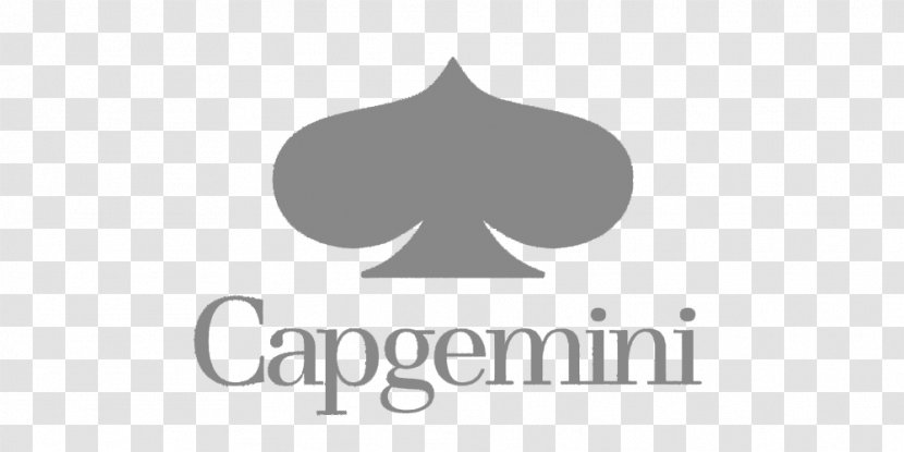 Capgemini Management Consulting Consultant Business Transparent PNG
