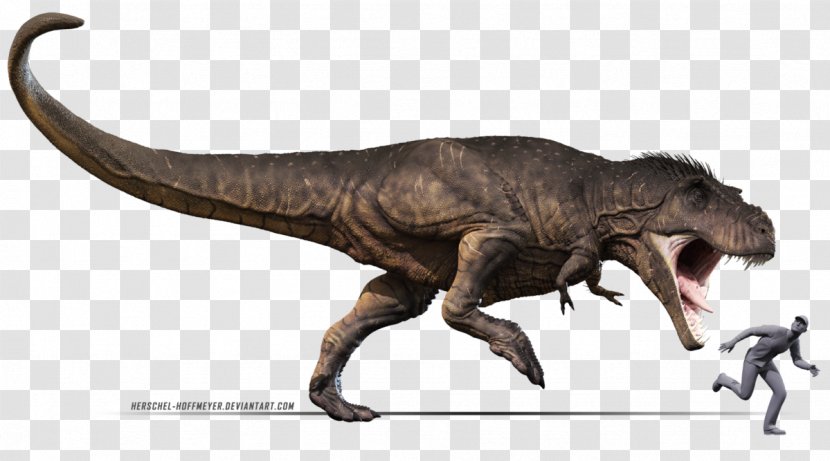 Tyrannosaurus Carcharodontosaurus Deinosuchus Tarbosaurus Giganotosaurus - Jurassic World - T Rex Transparent PNG