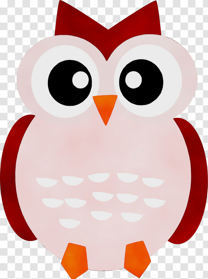 Owls Drawing Cartoon Computer Graphics Logo Transparent PNG