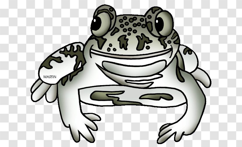 Toad True Frog Tree Clip Art - Fauna Transparent PNG
