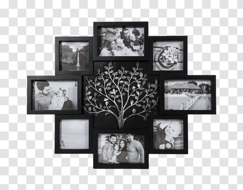 Picture Frames Photography Collage Allegro - Gift - Frame Transparent PNG