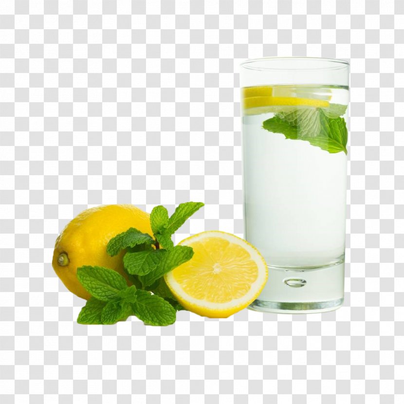 Juice Lemonade Alkaline Diet Health - Limeade - Lemon Drink Transparent PNG