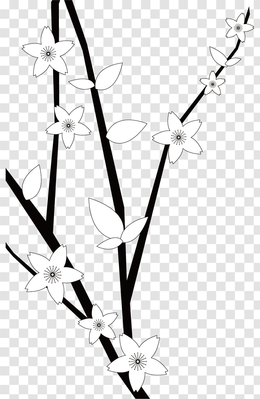 Plum Blossom Snow - Gratis - Black Vector Transparent PNG