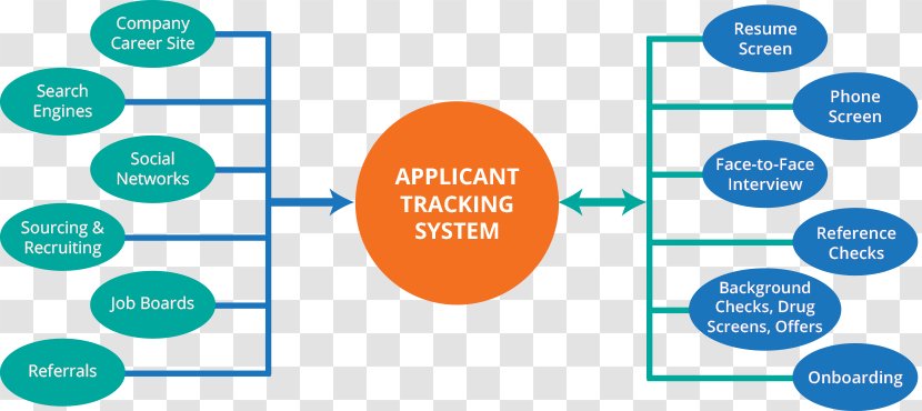 Organization Recruitment Sourcing Business Process Applicant Tracking System - Recruiting Talents Transparent PNG