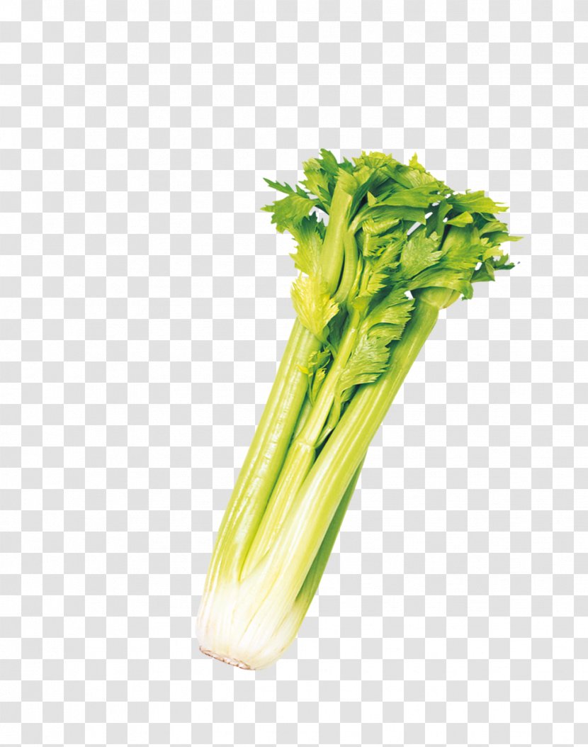 Celery Chard Icon - Plant Stem - Beautiful Vegetables Transparent PNG