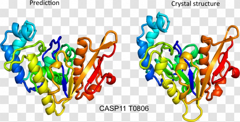 Protein Structure Prediction: Concepts And Applications CASP - Structural Biology Transparent PNG