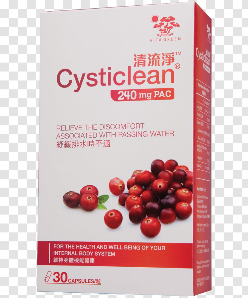 Cysticlean 240mg Pac Capsules 30 Caps Tablet Health - Capsule Transparent PNG