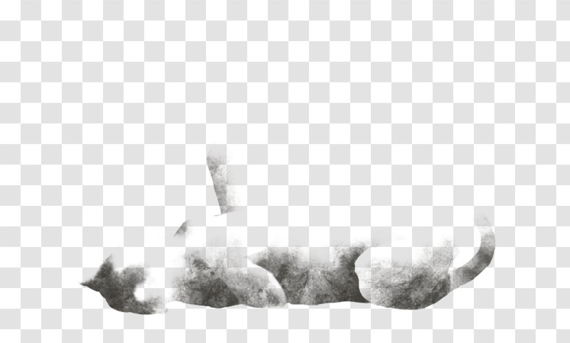 Whiskers Cat Fur Paw Snout - Monochrome Photography Transparent PNG