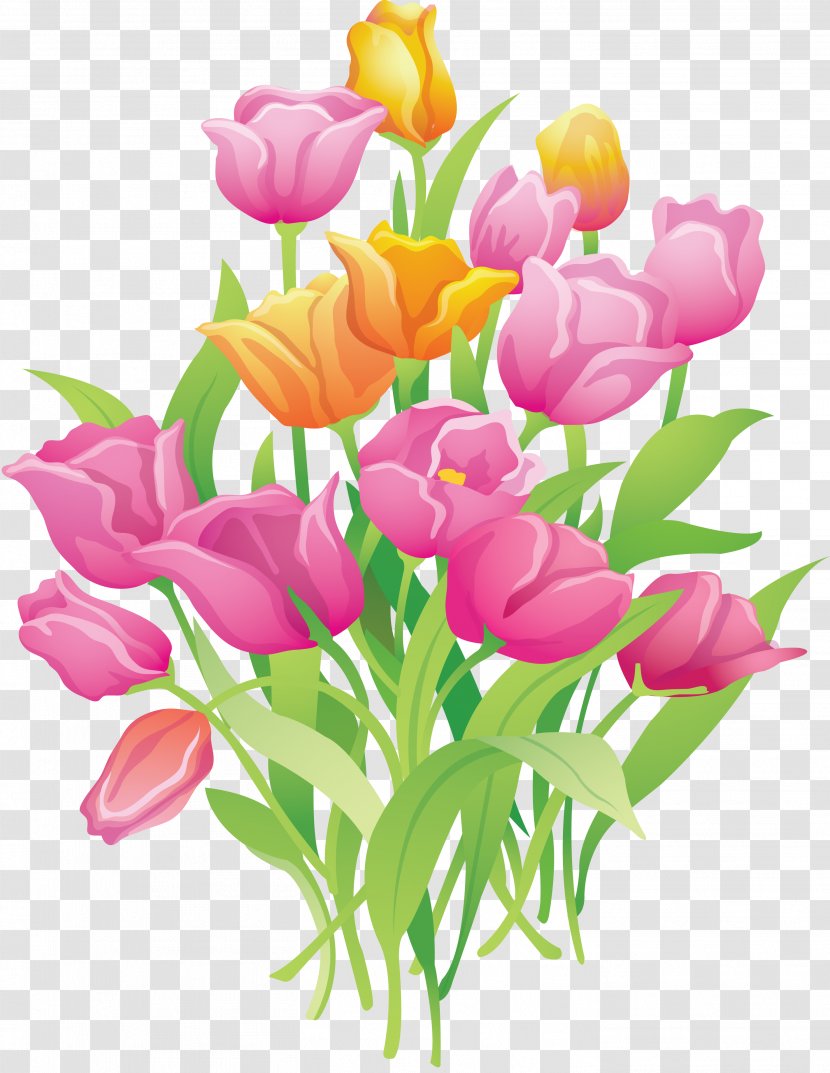 Tulip Flower Clip Art - Painting - 8 Transparent PNG