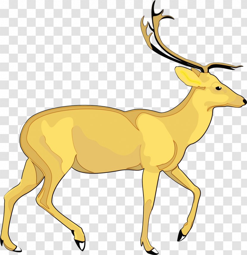 Drawing Of Family - Roe Deer - Chamois Cowgoat Transparent PNG