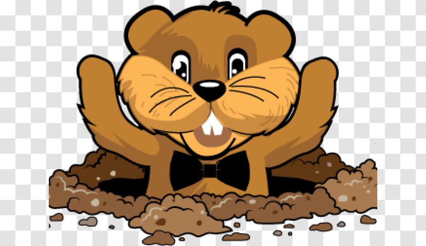 Beaver Cartoon - Groundhog Day Animal Figure Transparent PNG