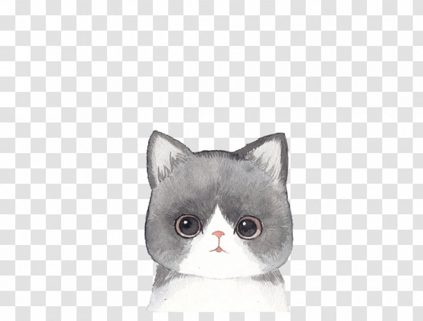 IPhone 4S 6s Plus 6 7 - Iphone 5c - Stay Meng Cat Transparent PNG