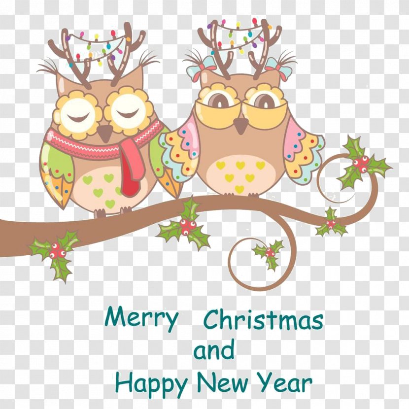 Owl Photography Christmas Illustration - The On Cartoon Branches Transparent PNG