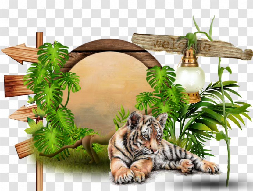 Tiger Felidae Man Big Cat CanalBlog - Cats Transparent PNG