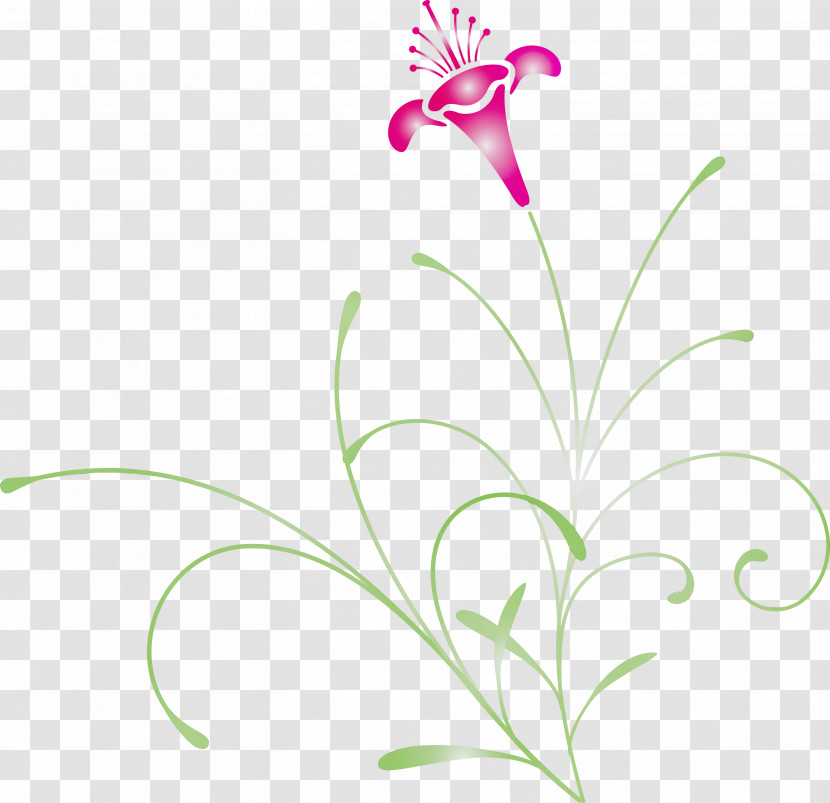 Flower Plant Pedicel Leaf Plant Stem Transparent PNG