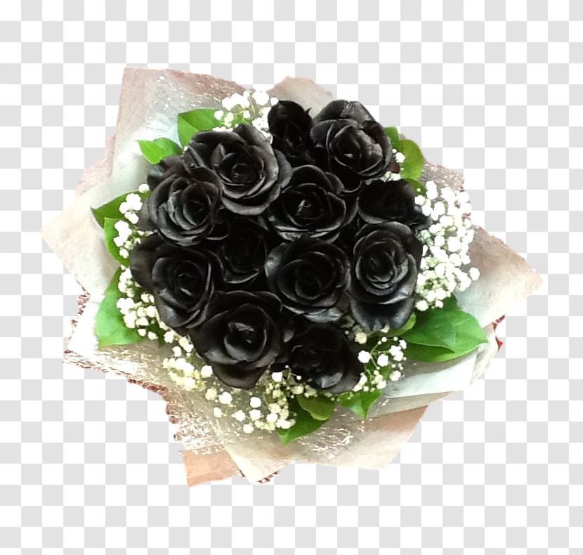 Garden Roses Cut Flowers Black Rose Transparent PNG
