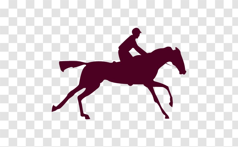 The Horse In Motion Equestrian Animals Photographer - Cinematograph - Sequence Vector Transparent PNG