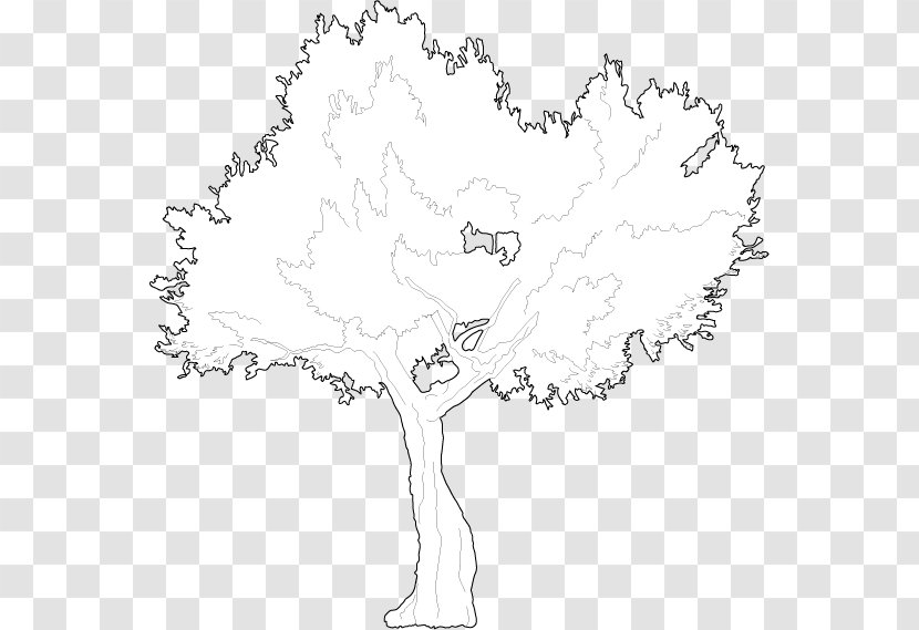 Twig Line Art /m/02csf Drawing Plant Stem - Tree - Mangrove Vector Transparent PNG