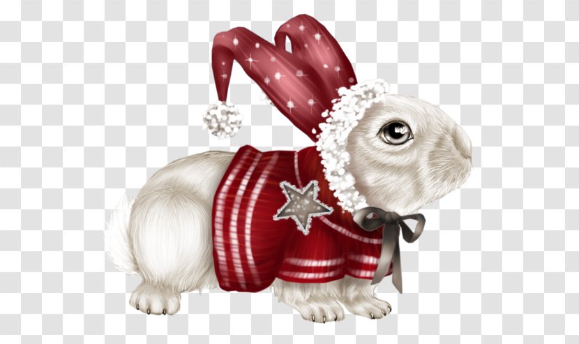 Hare Rabbit Centerblog Christmas Day - Domestic Transparent PNG