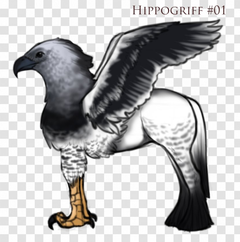 Eagle Hippogriff Legendary Creature Art Shire Horse - Wing Transparent PNG
