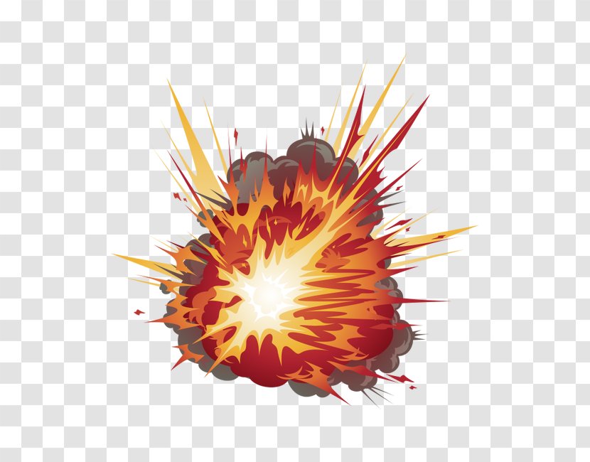 Explosions - Tree - Flower Transparent PNG