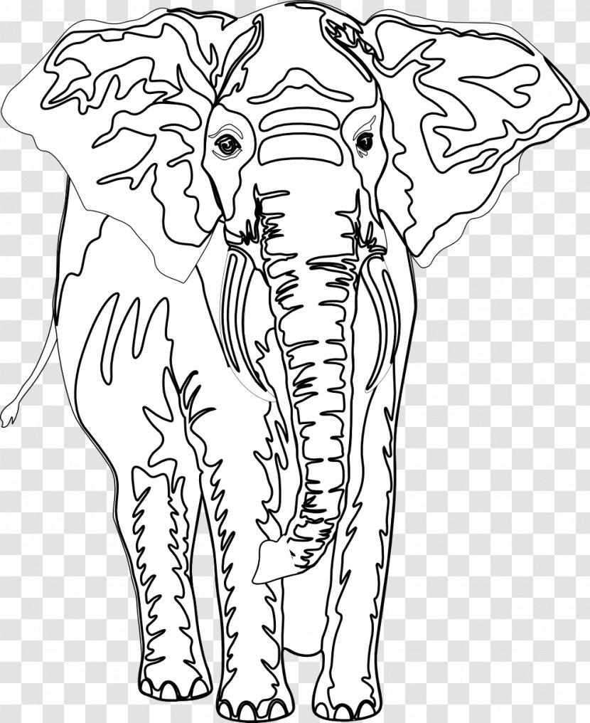 Line Art African Elephant Visual Arts Clip - Watercolor - Black Ant Transparent PNG