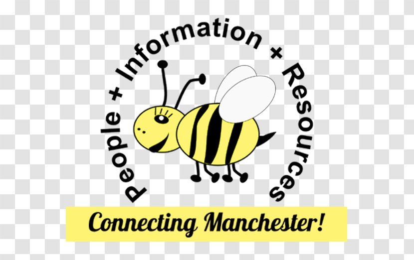 Nackey S Loeb School Of Communications Honey Bee Manchester Queen City Avenue Business - Area Transparent PNG