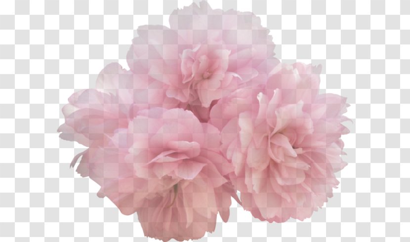 Petal Flower Clip Art Image Transparent PNG