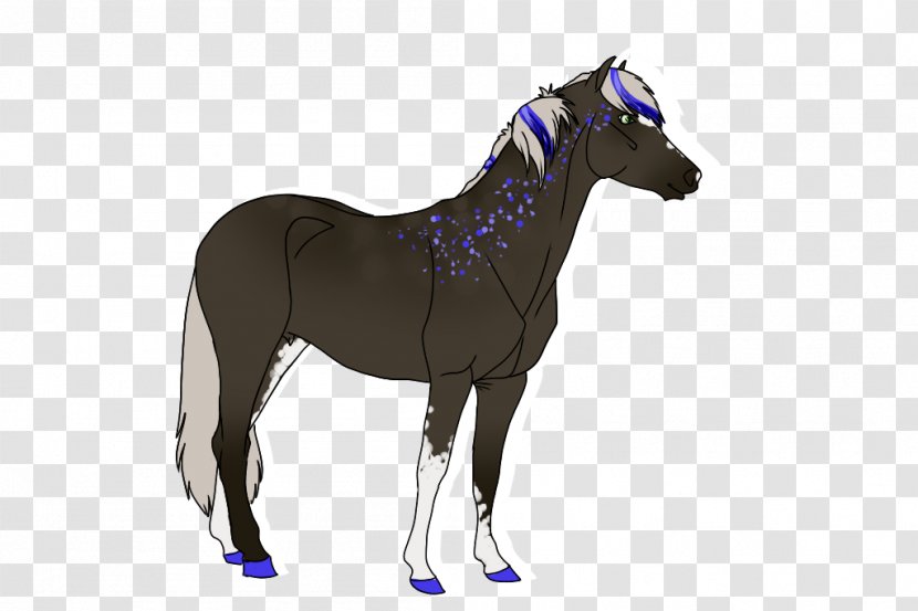Thoroughbred Mare Stallion Foal Mane - Pony - Splash Dirty Transparent PNG