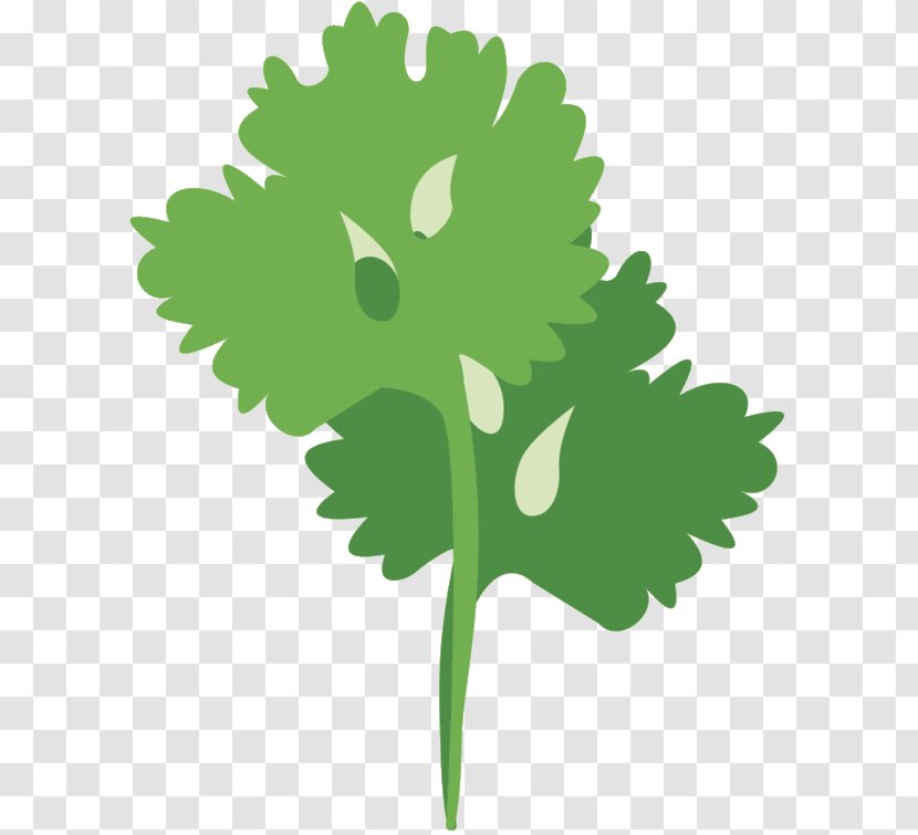 Clip Art Greens Illustration Leaf Plant Stem - Flowering - Tree Transparent PNG