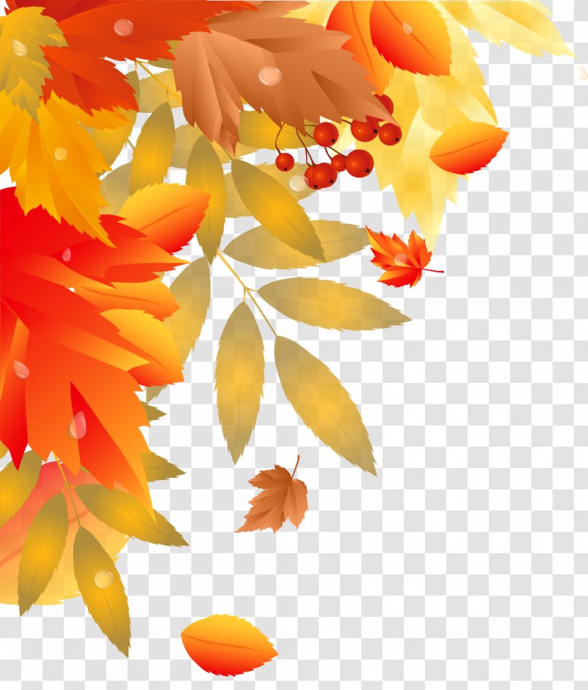 Autumn Hit Single Station De Ski Valinouet - Orange - Leaves Decoration Image Transparent PNG
