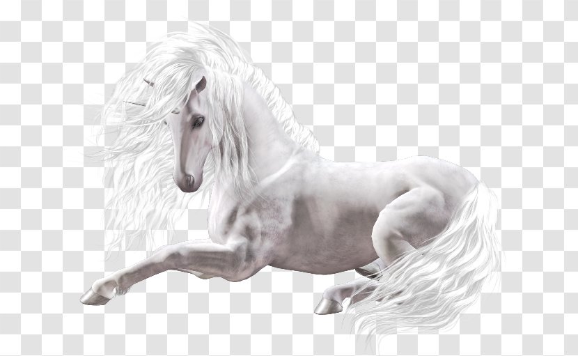 Unicorn White Horse Gift Clip Art Transparent PNG