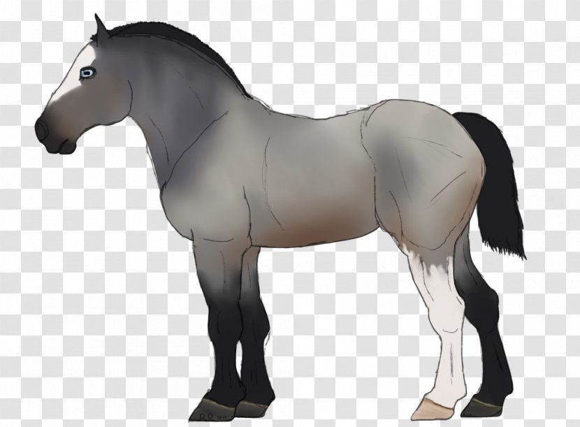 Mustang Stallion Mare Foal Colt - Rein Transparent PNG