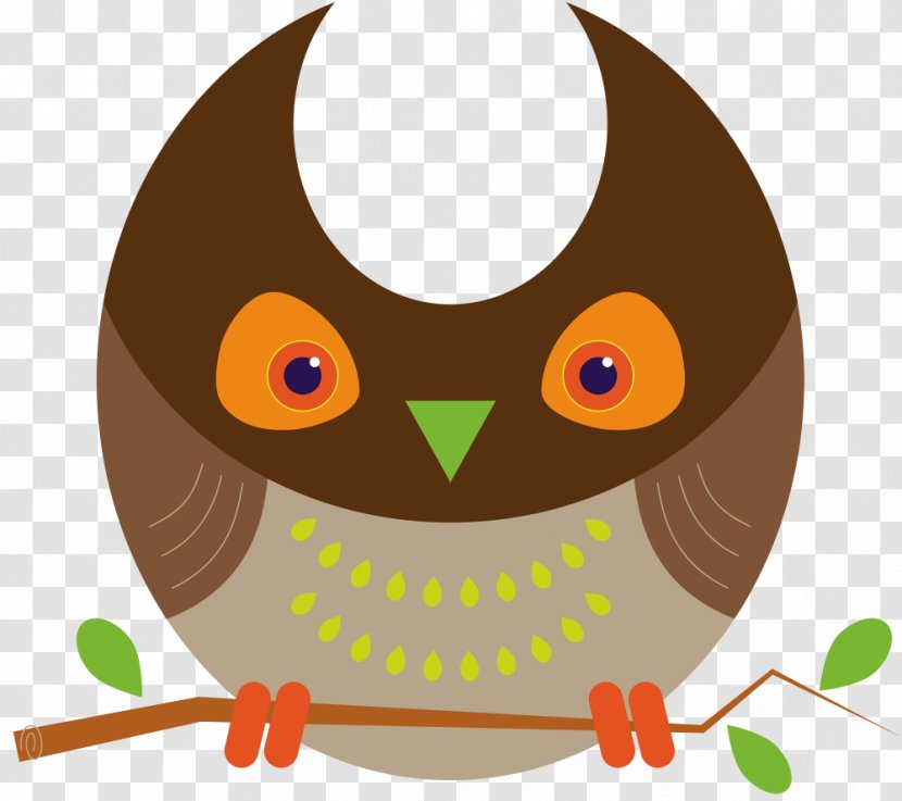 Owl Clip Art Illustration Product Beak - Orange Sa Transparent PNG