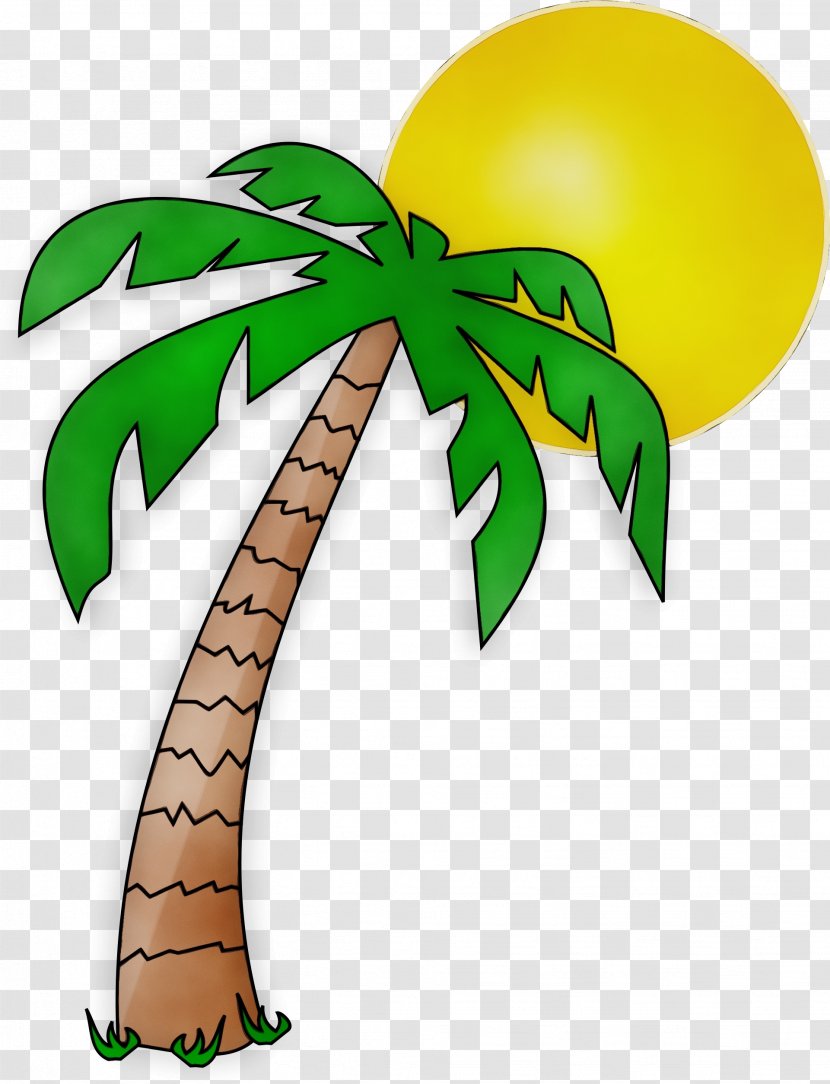 Coconut Tree Drawing - Plant Stem Woody Transparent PNG