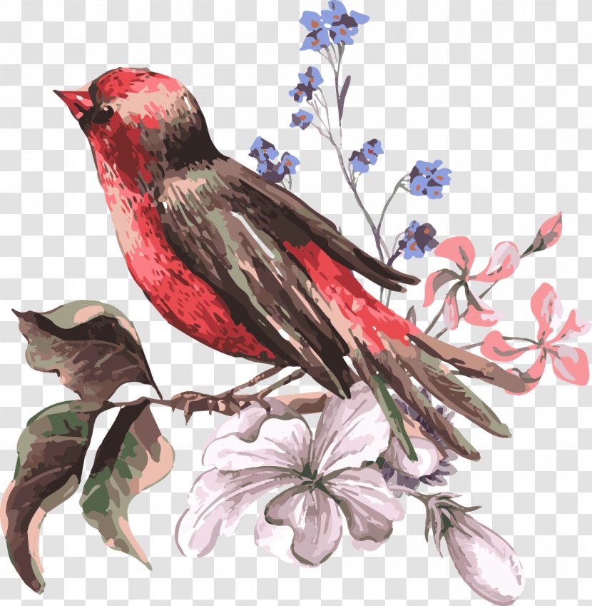 Bird Flower Euclidean Vector Illustration - Finch - Hand-painted Chinese Style Transparent PNG