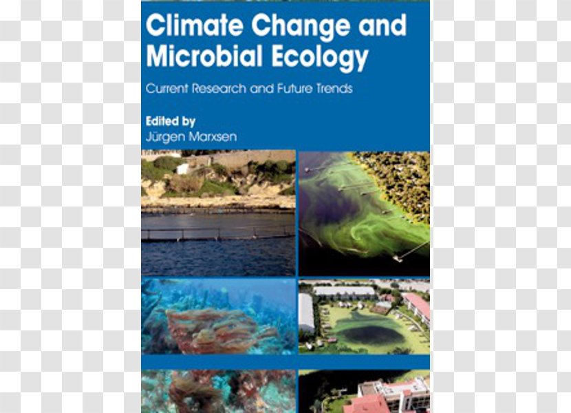 Climate Change And Microbial Ecology: Current Research Future Trends Water Resources Ecosystem Fauna - Stock Photography - Mycology Transparent PNG