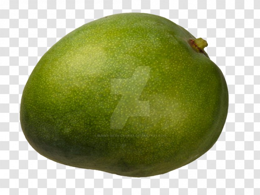 Image Mango Photography - Avocado Transparent PNG