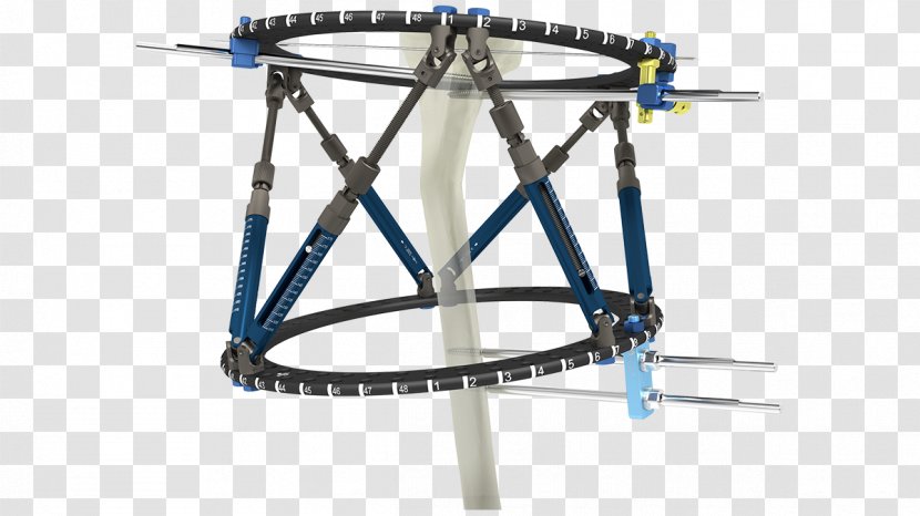 Bicycle Frames Wheels Line Angle - Mode Of Transport Transparent PNG